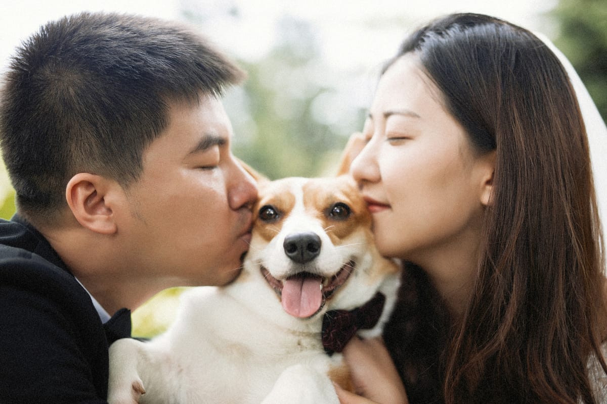 A couple kissing their corgi on both cheeks