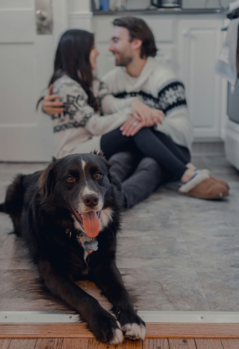 A happy black and white dog lying on the kitchen floor while the couple behind him laughs